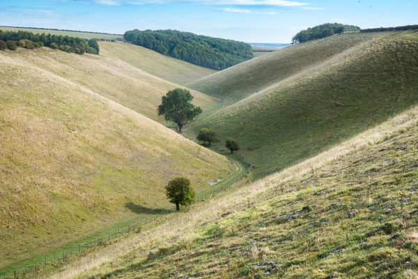 yorkshire wolds