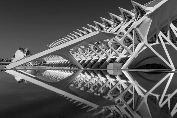 ciudad des arts, valencia