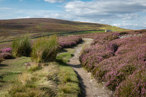 moorlandschaft im swaledale
