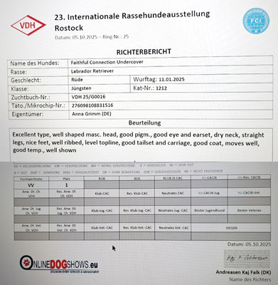 Bo - Richterbericht