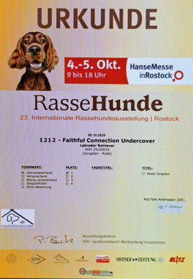 Bo - Urkunde