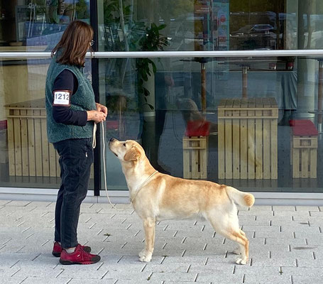 Karin mit Bo (Faithful Connection Undercover)