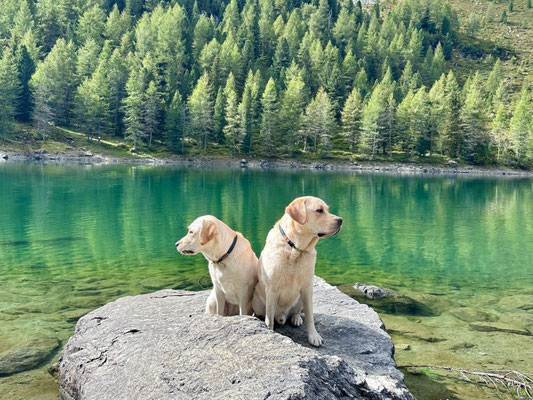 Faithful Connection Sweet Lumi - 14.09.2023 - Urlaub in Südtirol