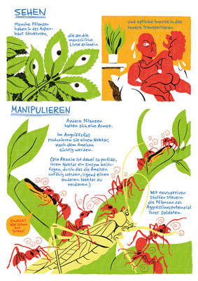 "Pflanzen sind intelligent!" Seite 03 - Comicbeitrag zum deutsch-tschechischen Comicsymposium "Mutter Natur" © 2021, Moritz Stetter