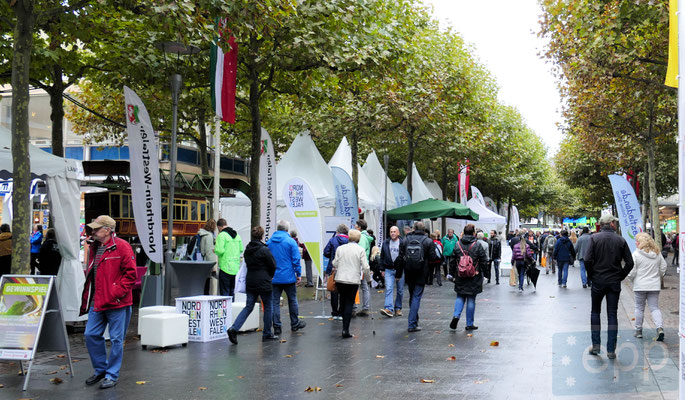 Tag der Deutschen Einheit 2017 in Mainz © frankfurtmedien.de / Klaus Leitzbach
