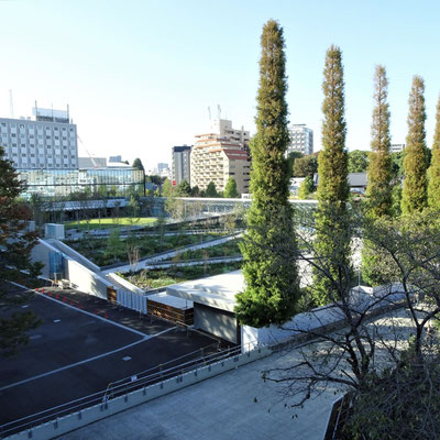 総地下構造になる記念会堂