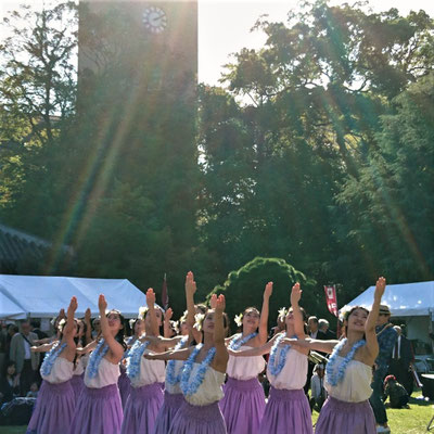 夏のような日差しの下でハワイアンダンスを踊る「Waseda Hula Girls」