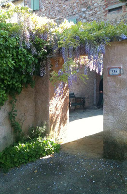 Casa Limonaia - Individuelle Privatferienhäuser in der Toskana