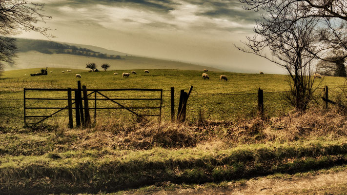 Wales