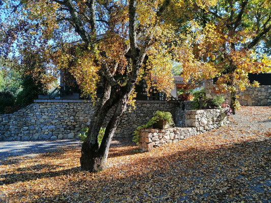 Couleurs d'automne