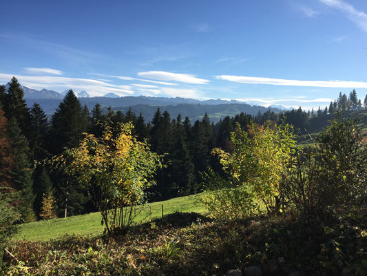 Herbst Süden