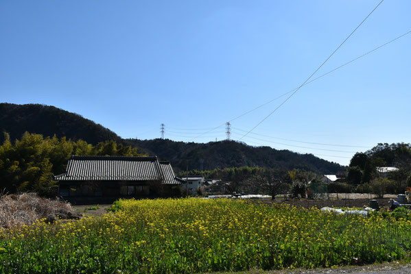 坂祝町の景色