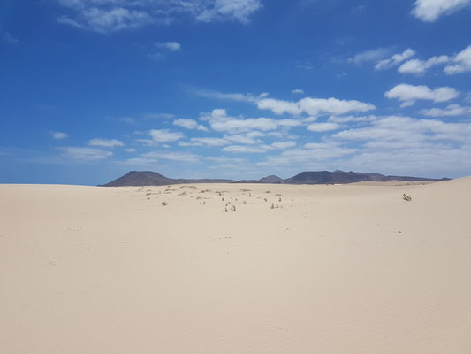 Sanddünen mit Blick auf dahinter liegenden Berge bzw. Vulkane
