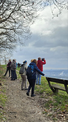 Blick über den Rheingau