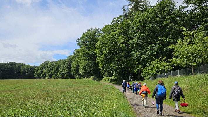 Am Waldrand entlang Richtung Hornau.
