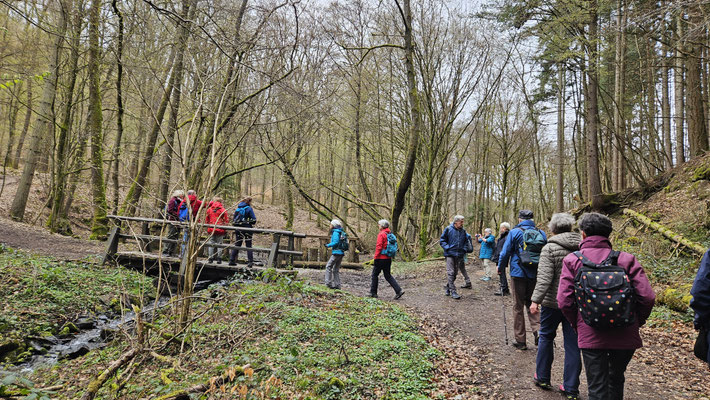 Wanderweg am Erlenbach
