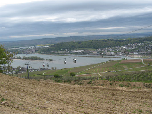 die Sesselbahn von Rüdesheim zum Niederwalddenkmal ließen wir rechts liegen