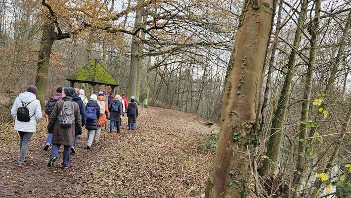 Im Enkheim-Bischofsheimer Wald.