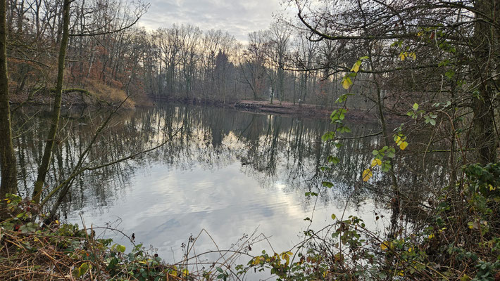 Der Gänseweiher in Winterstimmung.