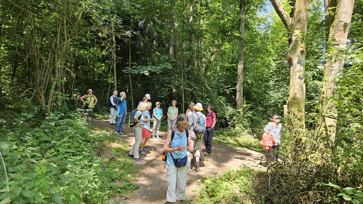 auf der Schächerbachtour