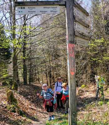 Auf dem Weg zum Langenberg, der Gipfel ist nicht mehr weit.