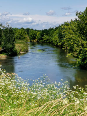 An der renaturierten Nidda.