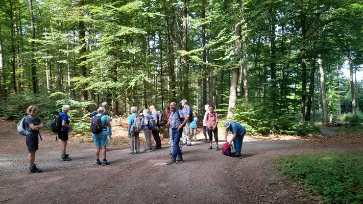 Kurze Pause auf dem Weg zum Großen Humberg.