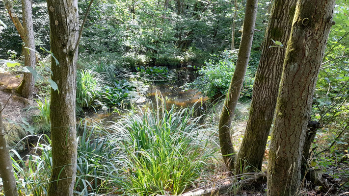 Idyll am Rambach.