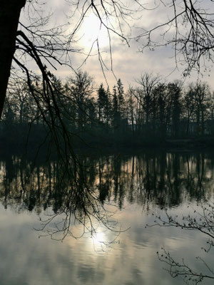Abendliche Stimmung am Gänseweiher - es war aber Mittagszeit!