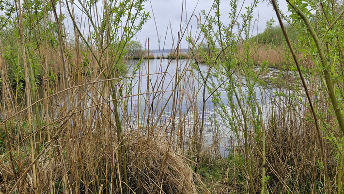 Flachwasserzone