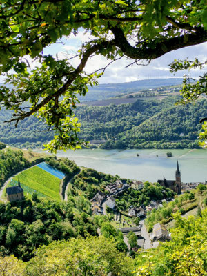 Blick auf Lorchhausen mit St. Bonifatius.