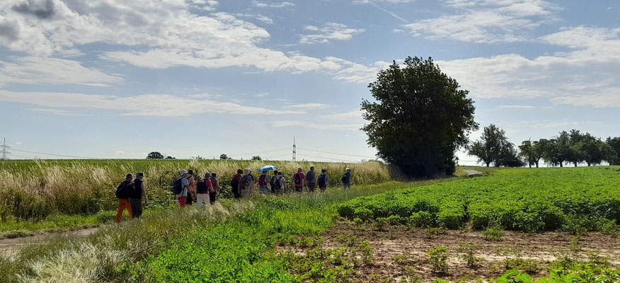 Unsere Gruppe auf dem Rundweg "Schaufenster Wetterau"