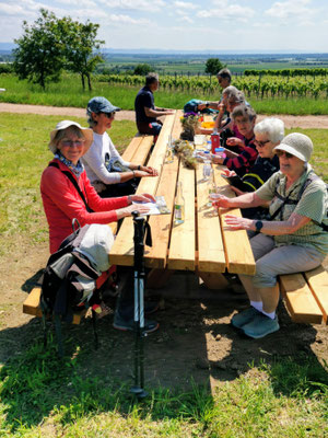 Rast am "Tisch des Weines" 
