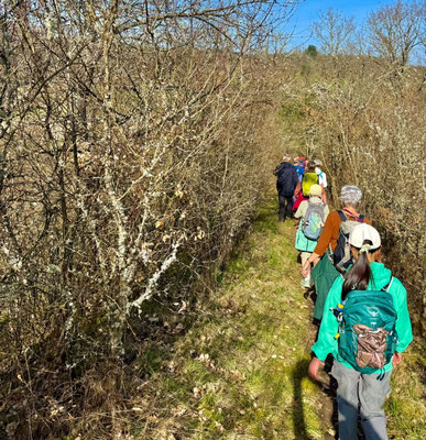 Gruppe 1 - Abwärts zum Jeckenbach an der B420