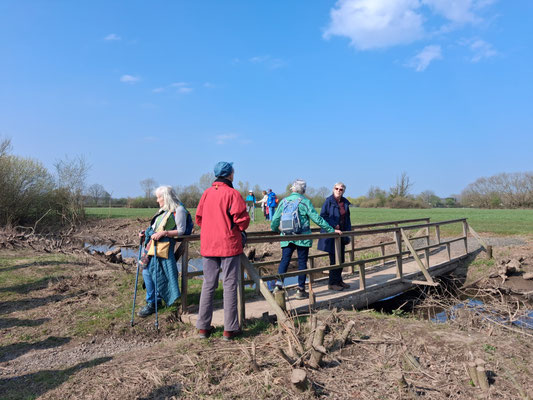 Im Naturschutzgebiet bei Niederrodenbach.