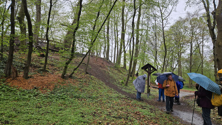 An einem der Burghügel in Dreibergen