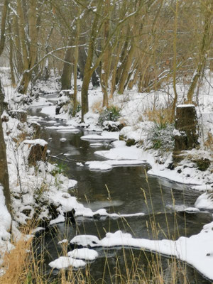 Der winterliche Westerbach.