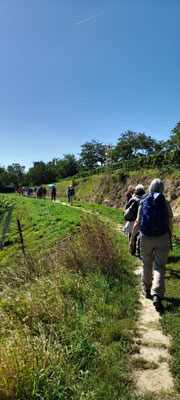 Unterwegs auf dem Kleinen Mainzer Höhenweg