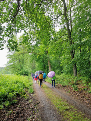 An der Dieburger Fohlenweide