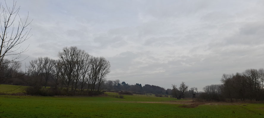 Winterliche Stimmung über dem Enkheimer Ried