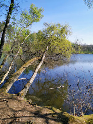 An der Thülsfelder Talsperre