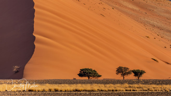 Another interesting dune is the "three tree dune" with the silhouette of three acacia trees in front of the dune.