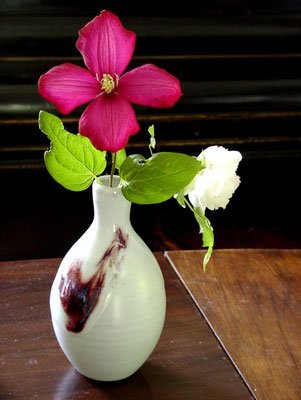 fote Clematis