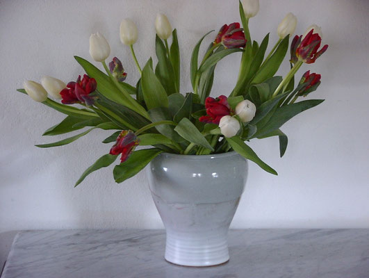 Tulpen