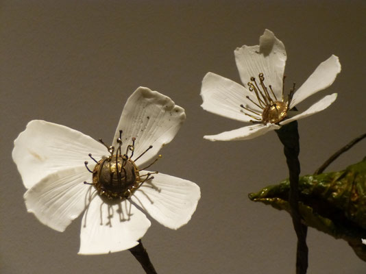 Porzellanblütenblätter zu Blumen gebildet von Karin Funke-Atmer