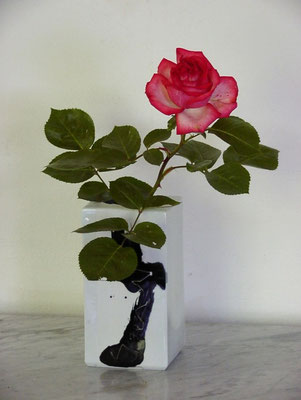 Rose in quadratischer Porzellanvase