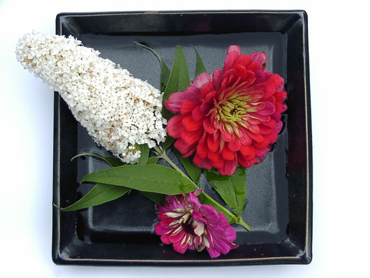 Sommerflieder und Zinnien in quadratischem Teller