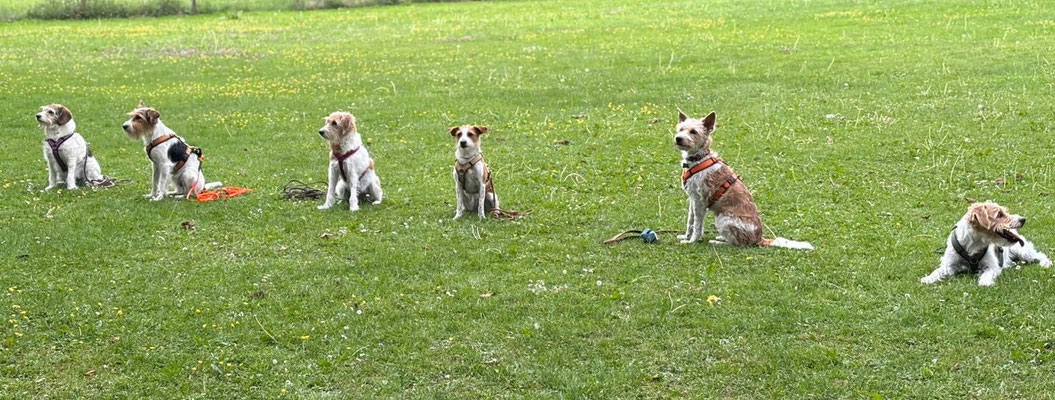 Gruppenbild mit Gewinnerin