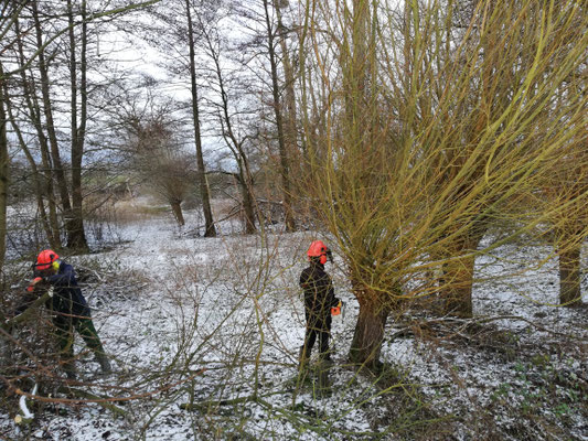 FOTO: NABU Bad Münder