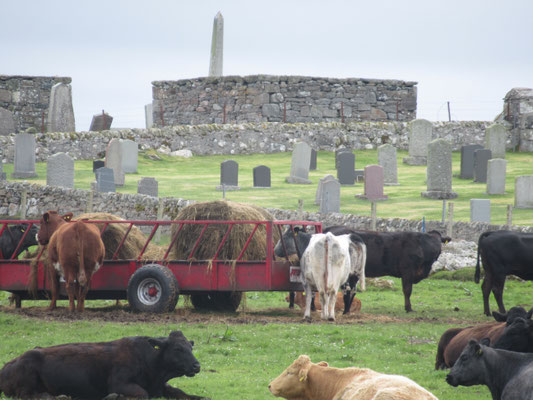North Uist-2